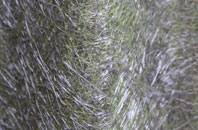 Garriston fibreglass roof work